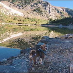 Meet your Posher, Karina